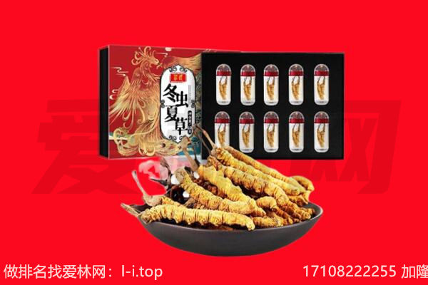 营口市站前回收虫草.jpg